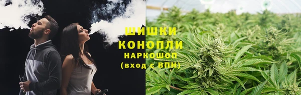 прущие грибы Балабаново