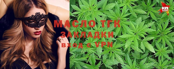 прущие грибы Аркадак