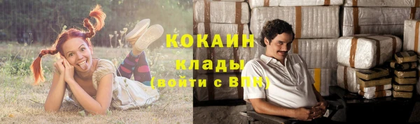 индика Протвино