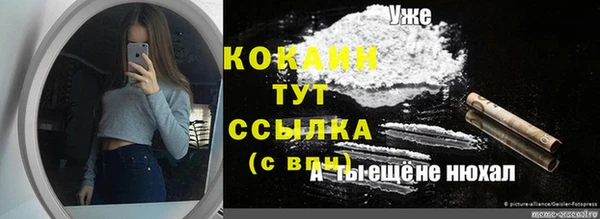 прущие грибы Аркадак