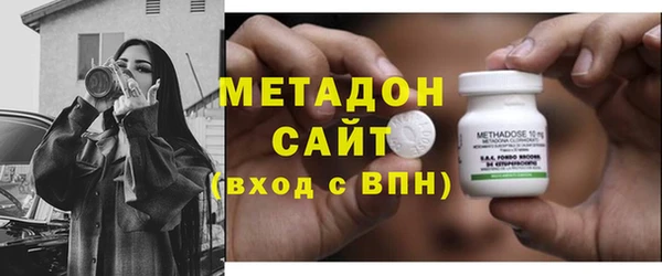 прущие грибы Аркадак