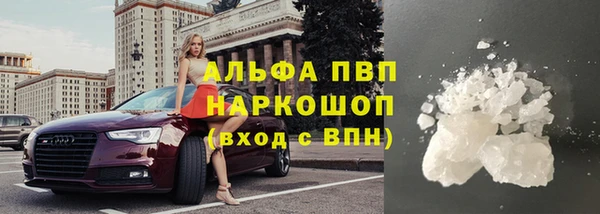 спайс Арсеньев