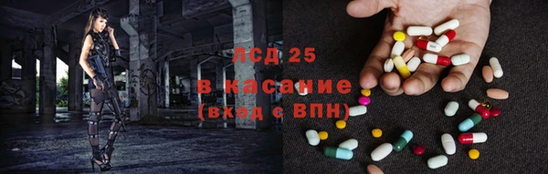 прущие грибы Балабаново